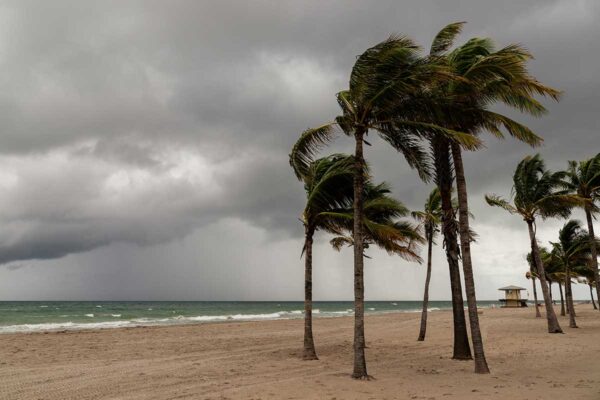 Tropical Storm Francine preparedness tips for Southwest Louisiana homeowners